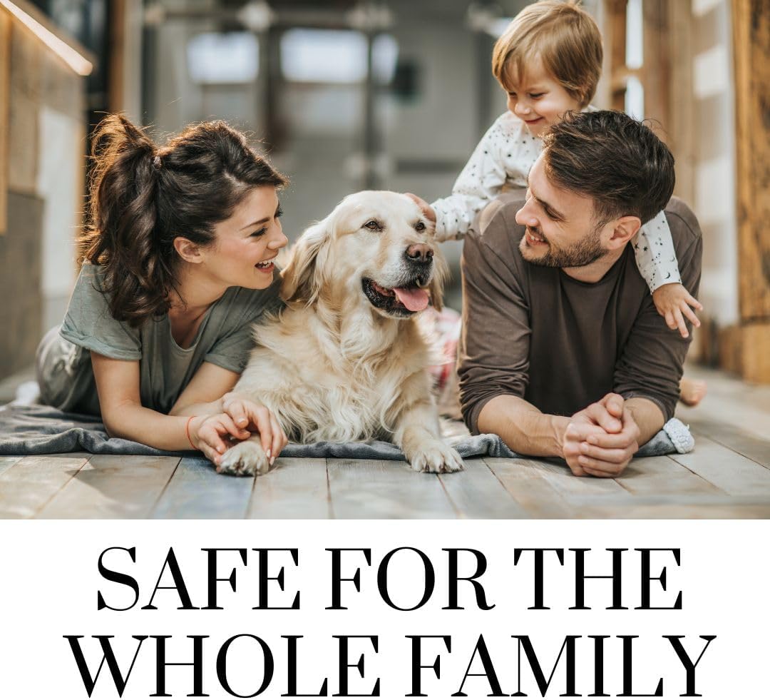 Lice and Bed Bug Laundry Additive - Environmentally Responsible, Odorless, and Stain-Free Liquid Laundry Treatment - Safe for Children and Pets - Any Water Temperature (1 Gallon)