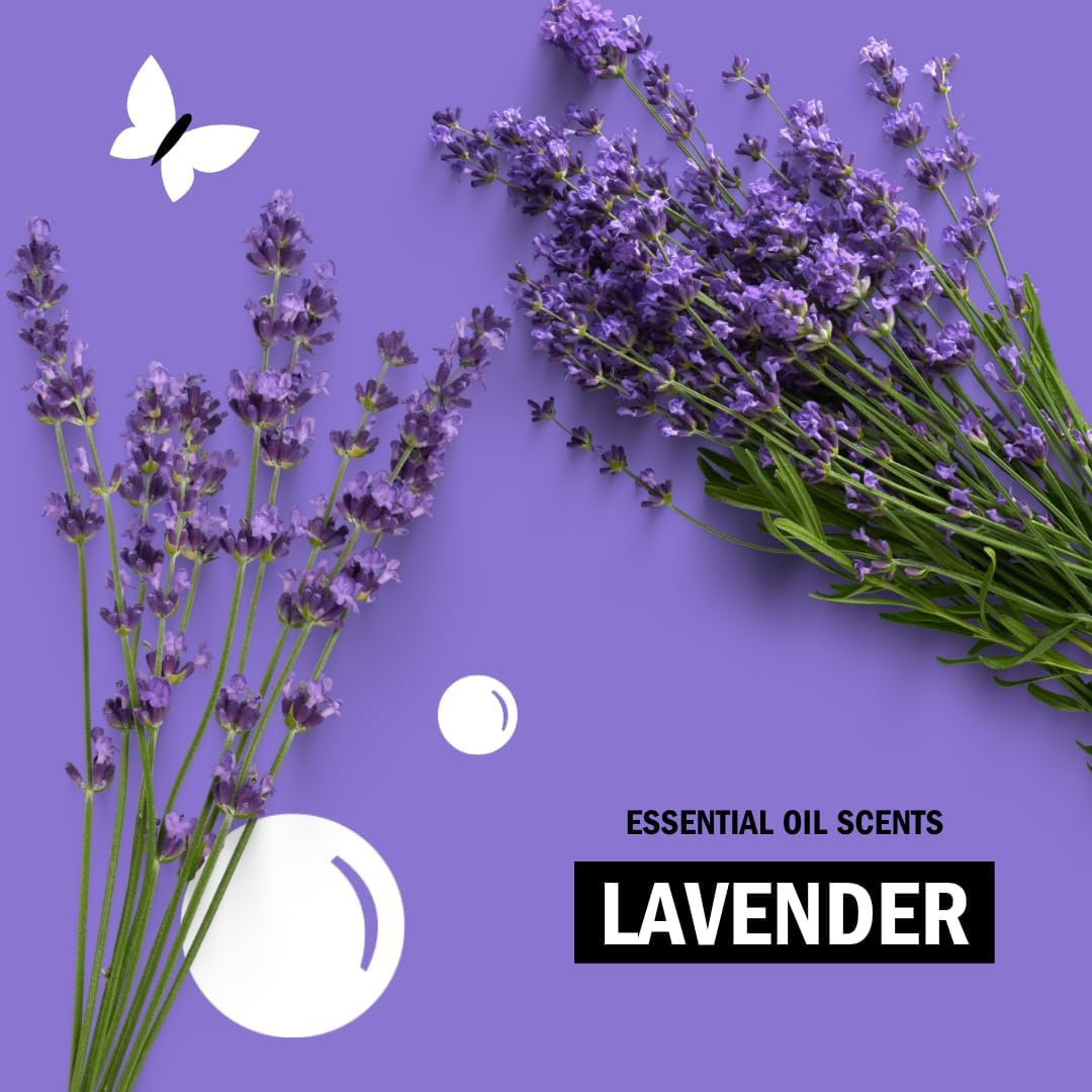 Molly's Suds Liquid Laundry Detergent | Clean Laundry Detergent Soap for Sensitive Skin | 2x Concentrated, High Efficiency (HE) | Lavender - 100 Loads