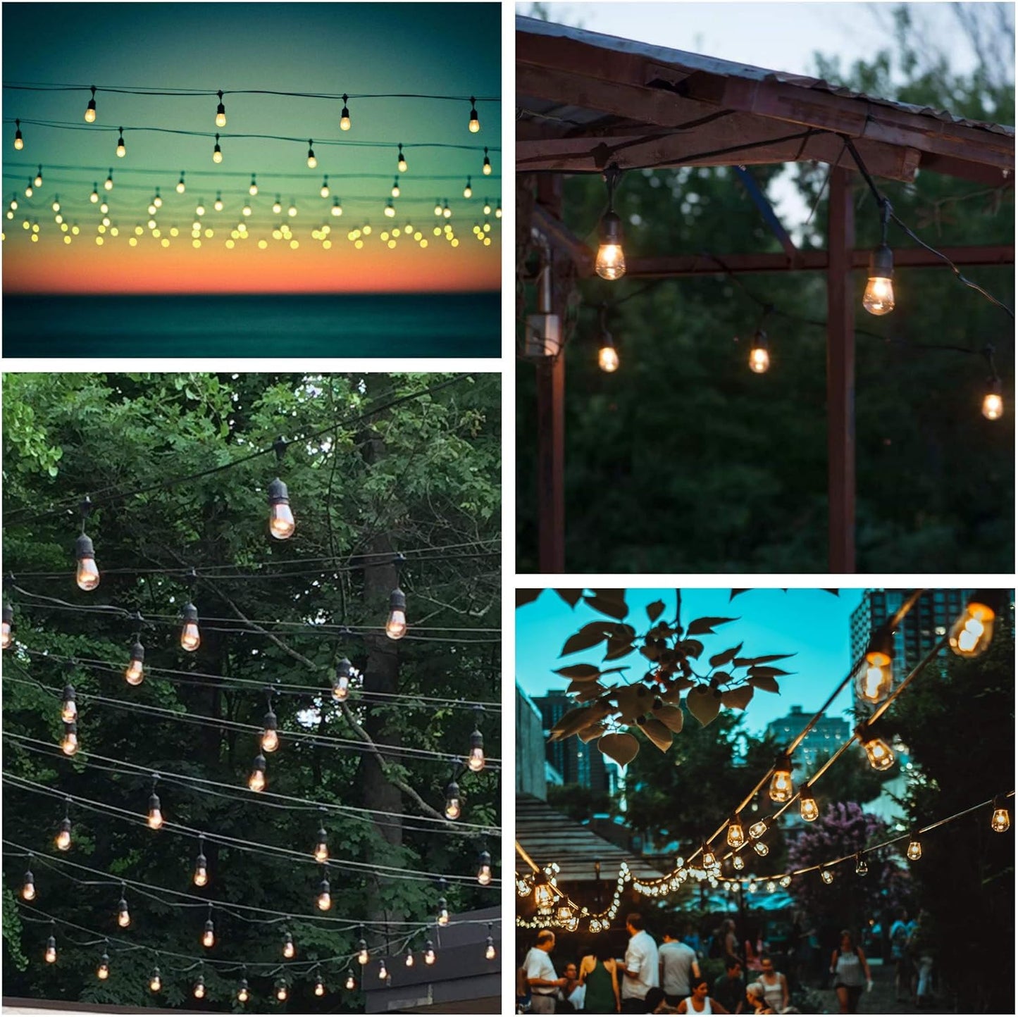Hometown Evolution, Inc. 24 Foot E26 LED Outdoor Commercial String Lights with 12 Suspended Sockets and S14 LED Filament 1 Watt Bulbs