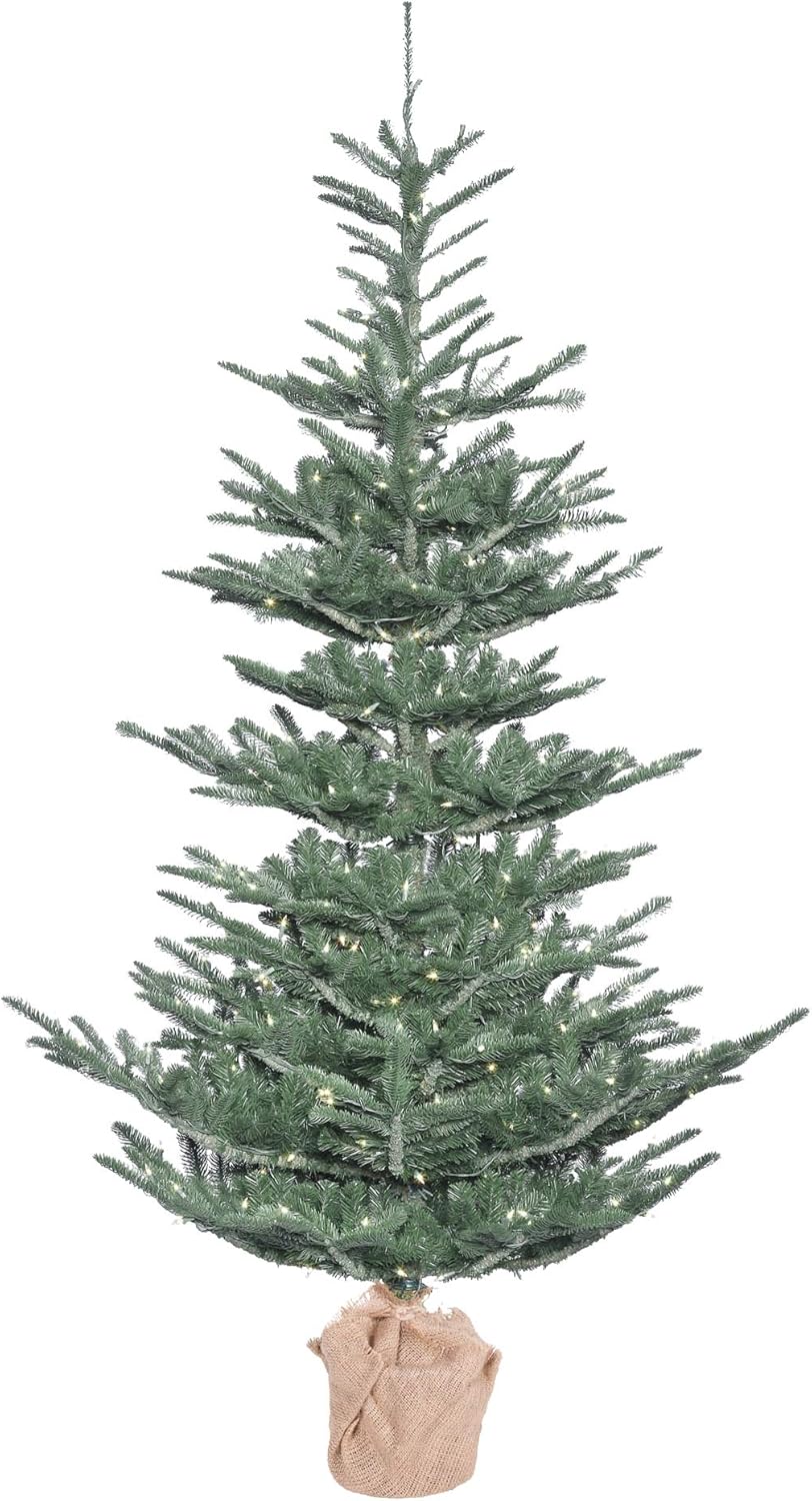 5' x 40" Alberta Blue Spruce 200LEDWmWht