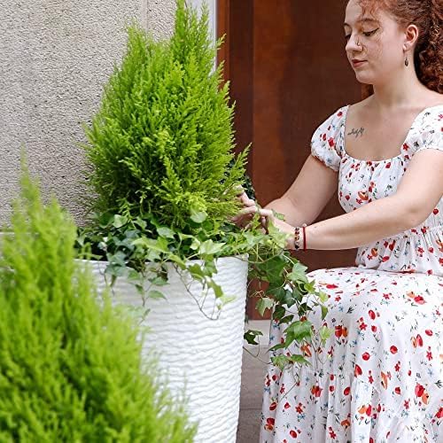 Worth Garden 2-Pack 21" H. White Tall Planters - 14'' Dia Resin Large Round Flower Pots for Outdoor Plants Trees - Imitation Stone Finish Plastic Indoor Front Porch 9 Gallon Decorative Container Patio