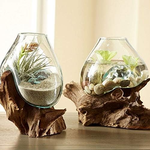 Hand Blown Molten Glass & Teak Wood Terrarium/Vase/Fish Bowl - Premium Quality (10" - 12" High)