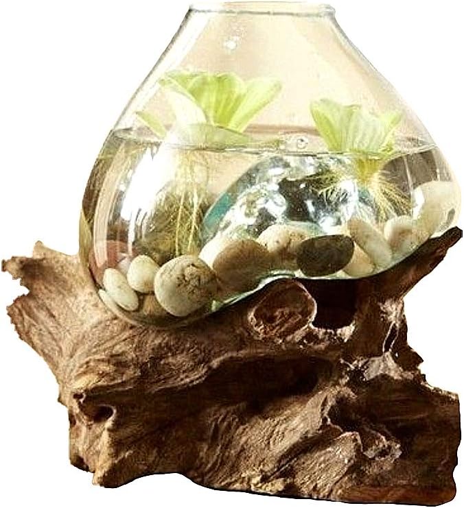 Hand Blown Molten Glass & Teak Wood Terrarium/Vase/Fish Bowl - Premium Quality (10" - 12" High)