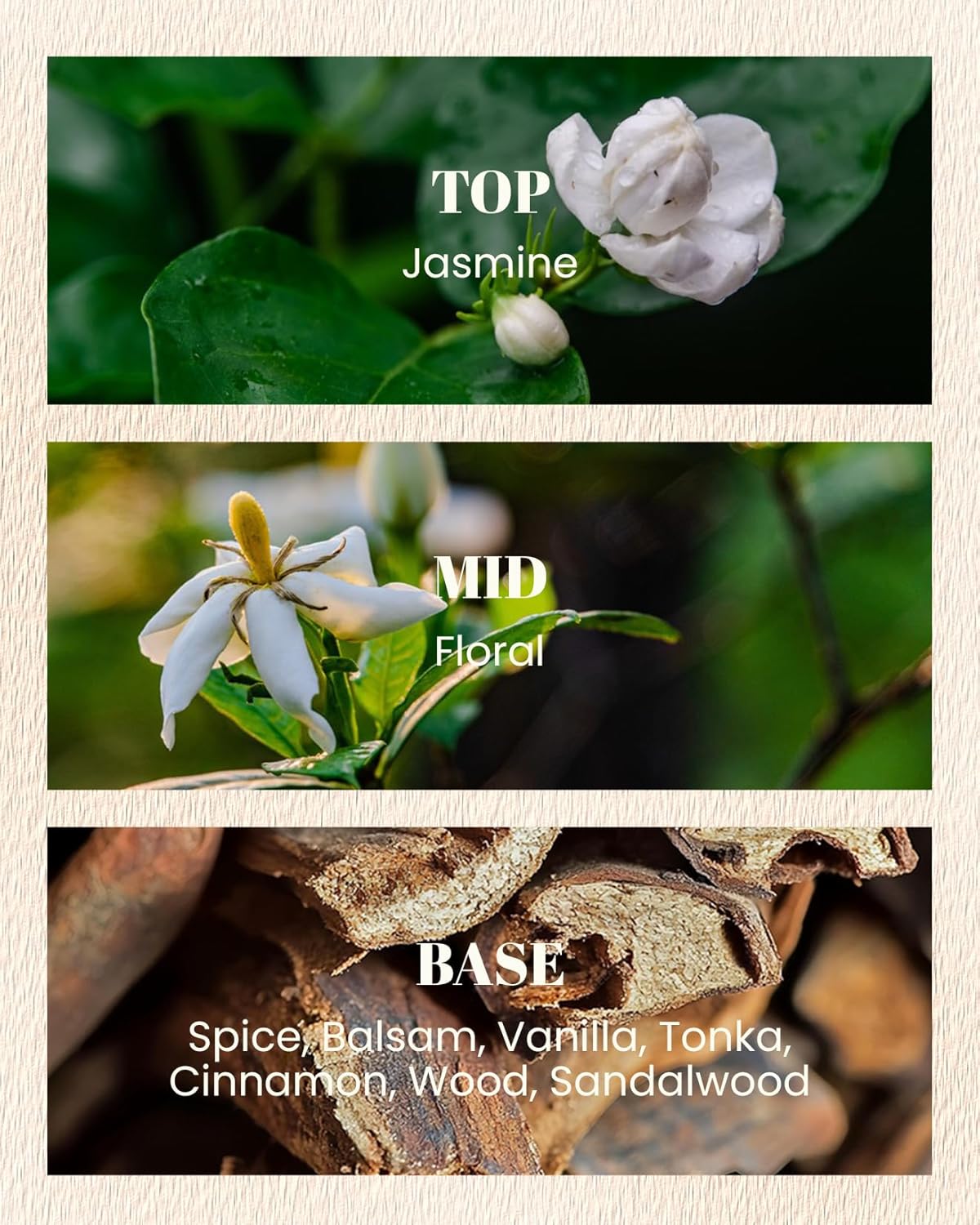 M&SENSE Vanilla Amber Scented Candles-Vegan Soy Wax, Floral Naturally Scented, No Toxin 10oz 42-Hour Long Burning Time, Cozy Relaxing Calming Candle for Bathtub & Sleep, Housewarming Gift