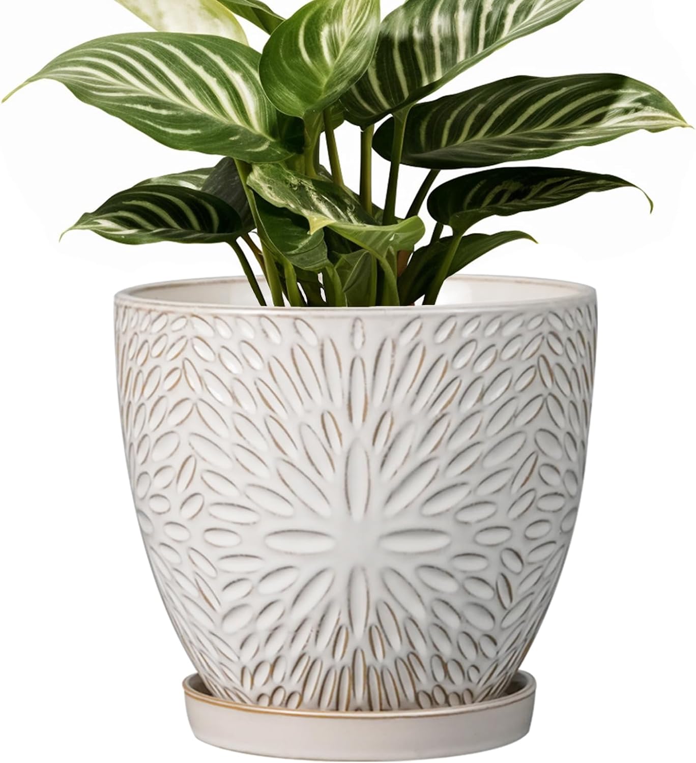 G EPGardening 6 Inch Plant Pot for Indoor Plants Outdoor Round Ceramic Planter Decorative Flower Pot with Drainage Hole and Saucer White