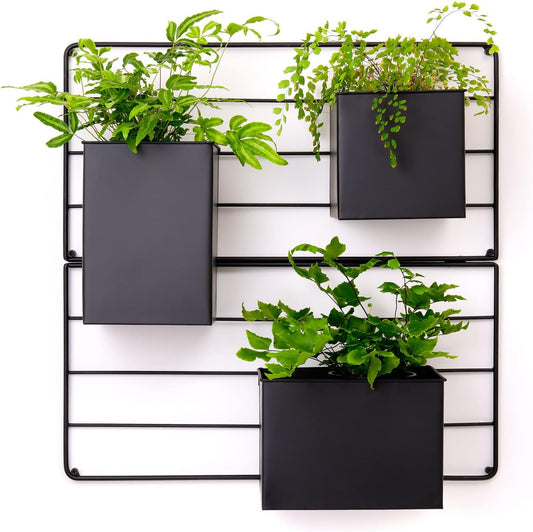 KASSELL Vertical Garden Wall Planter. Wall Mounted for Indoor Outdoor. All Metal Black Vertical Planter with No Assembly Required. Planter for Indoor Plants Flowers, Herbs, Succulents and Plants
