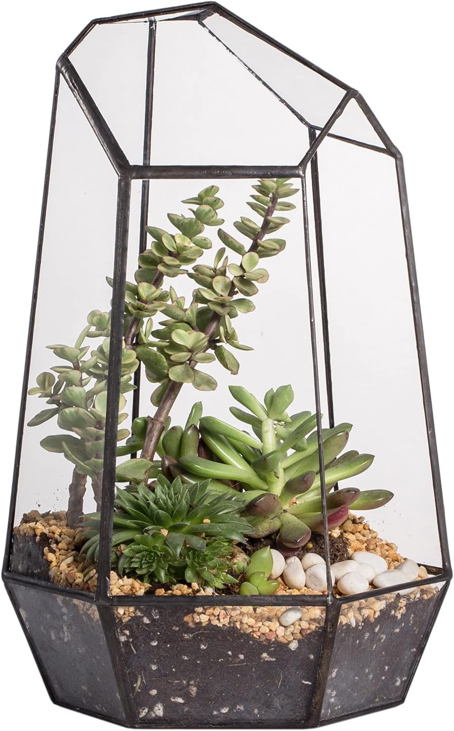 NCYP Geometric Glass Terrarium Planter for Succulent, Small Cacti, Black Irregular Opened Container Pot, Indoor Home Garden Office Tabletop Decor, 6.5" x 5.7" x 9.8" (No Plants, No Door)