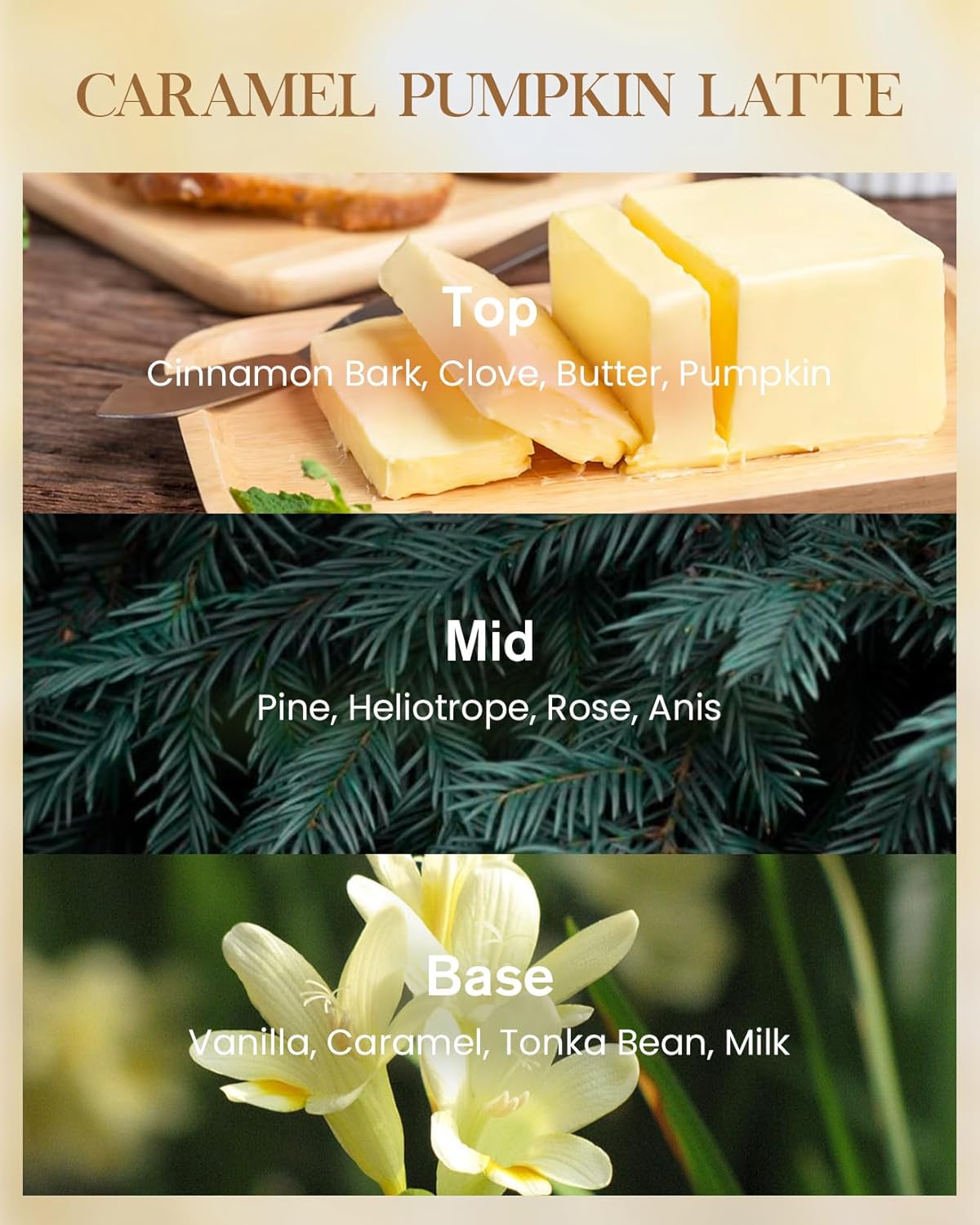 M&SENSE Large Candles Caramel Pumpkin Latte Scented, 3 Wick Natural Soy Candles for Home Scented, 150H Long Lasting Slow Burn Jar Candle 35oz, No Toxic Aromatherapy Candle for Stress Relief