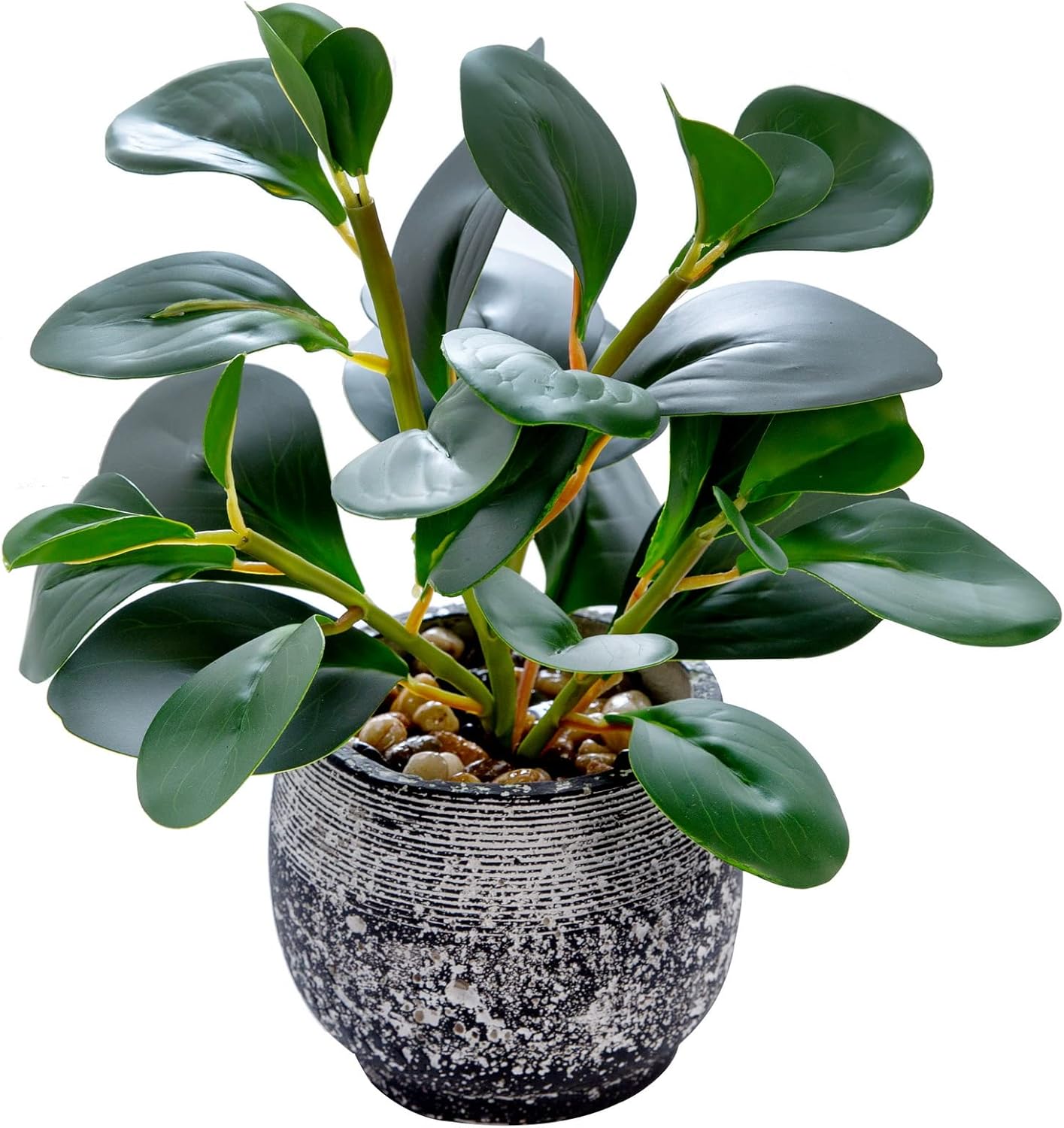 AlphaAcc Artificial Plants Potted Real Looking Small Faux Plant with Rustic Black Cement Planter for Kitchen Office Desk Bookshelf Decor (Ficus Plant)