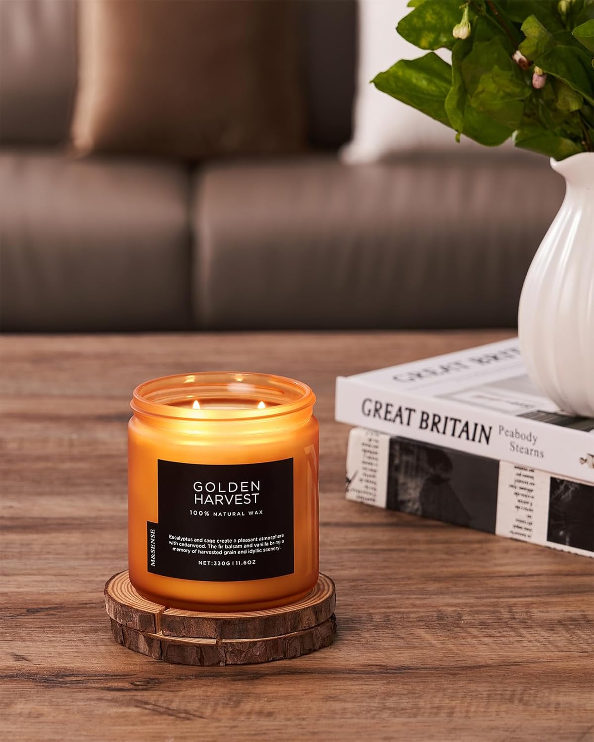 M&SENSE Golden Eucalyptus & Sage Scented Candle, 11.6oz Natural Soy Wax 70 Hours Long Lasting Highly Scented 2 Cotton Wick Candle Gifts for Birthday Holiday, Decorative & Home