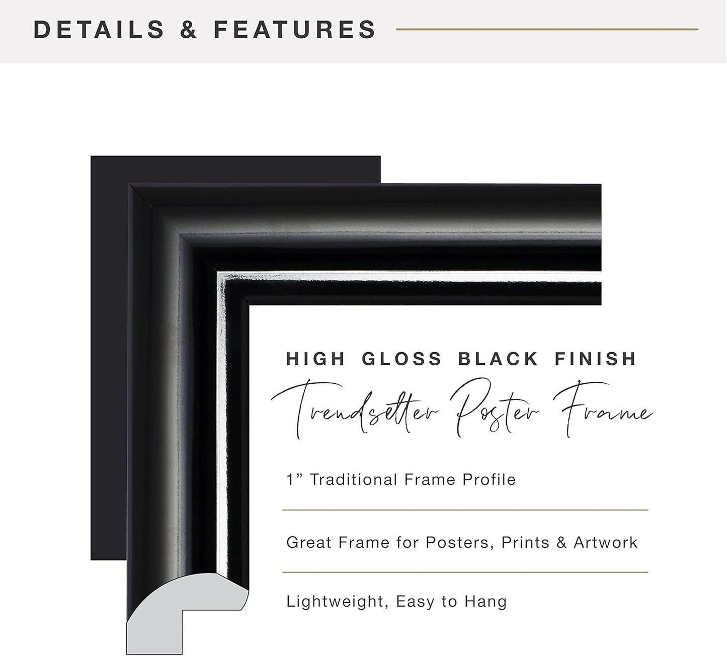 MCS Trendsetter 11x17 Poster Frame Black High-Gloss, Vertical & Horizontal Wall Hanging Large Picture Frame for Photos, Posters & Art Prints (2-Pack)