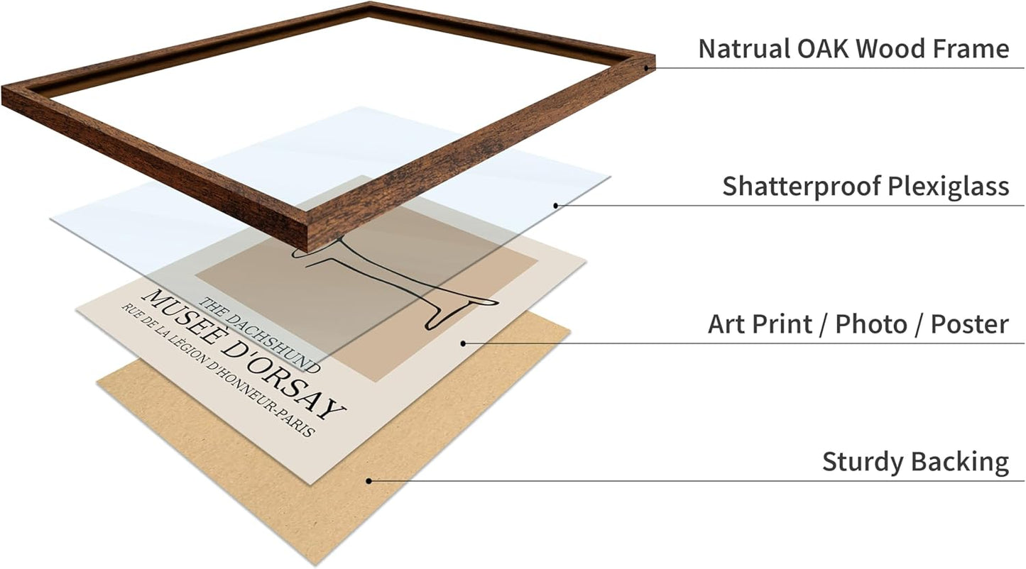 Poster Master Vintage Poster - Retro Minimalist Print - Gift for Artist, Housewarming - Dachshund Dog, Line Drawing, Abstract - Wall Decor for Living Room, Bedroom, 16x20 Brown Framed