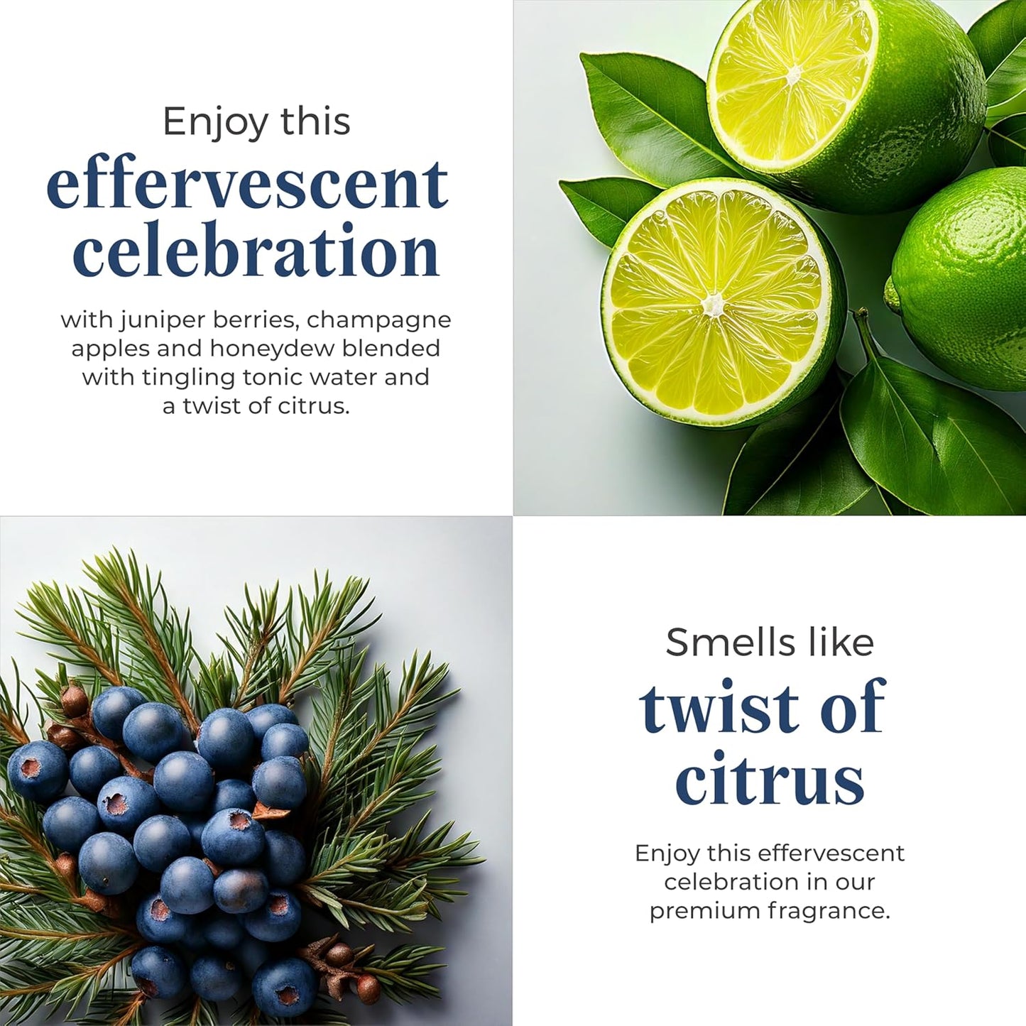 PartyLite 3-Wick Jar Candle, Highly Fragranced Clean Burning Glass Candle, 25-45 Hours Burn Time (Gin & Tonic)