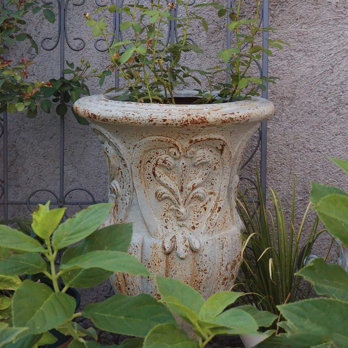 VISIBLE Vintage European Giant Garden Urn Planter, Decorative Cement and Fiber Flower Pot, Make Rust Finished, Wrap Foam Safely Delivered from Los Angeles (Vintage, Medium)