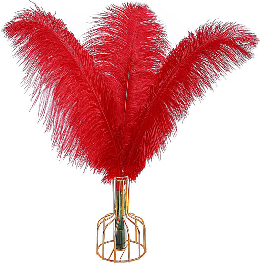 THARAHT Red Ostrich Feathers 12pcs Large Natural Bulk 12-14Inch 30cm-35cm for Wedding Party Centerpieces Halloween and Home Decoration Feathers