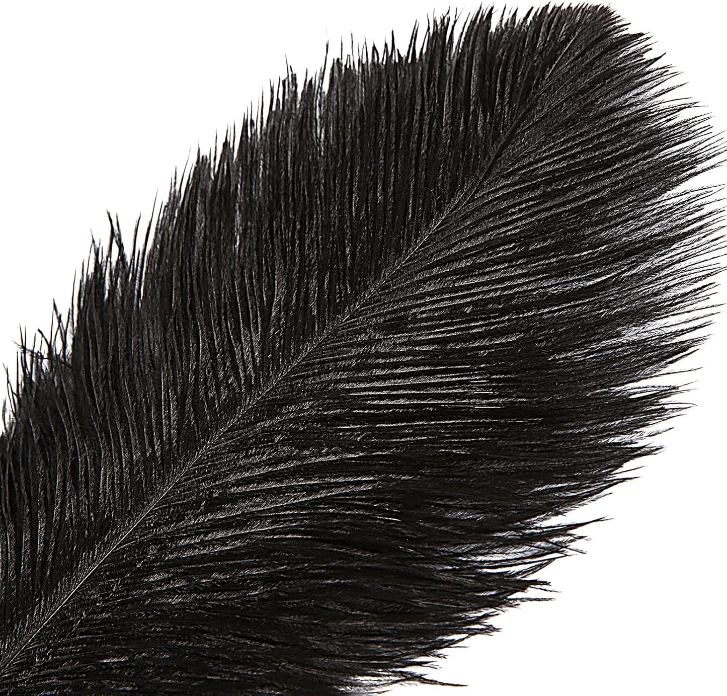 THARAHT Black Ostrich Feathers 12pcs Large Natural Bulk 16-18Inch 40cm-45cm for Wedding Party Centerpieces Halloween and Home Decoration Feathers