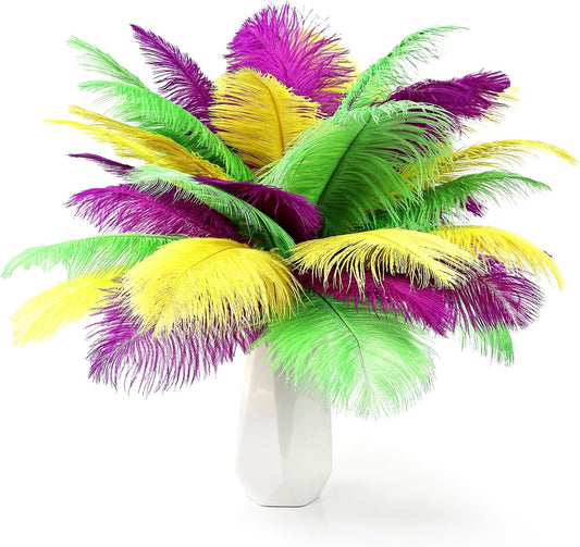 THARAHT Mix Colour Ostrich Feathers 12pcs Natural Bulk 10-12Inch 25cm-30cm for Wedding Party Centerpieces Easter Gatsbi and Home Decoration Feathers
