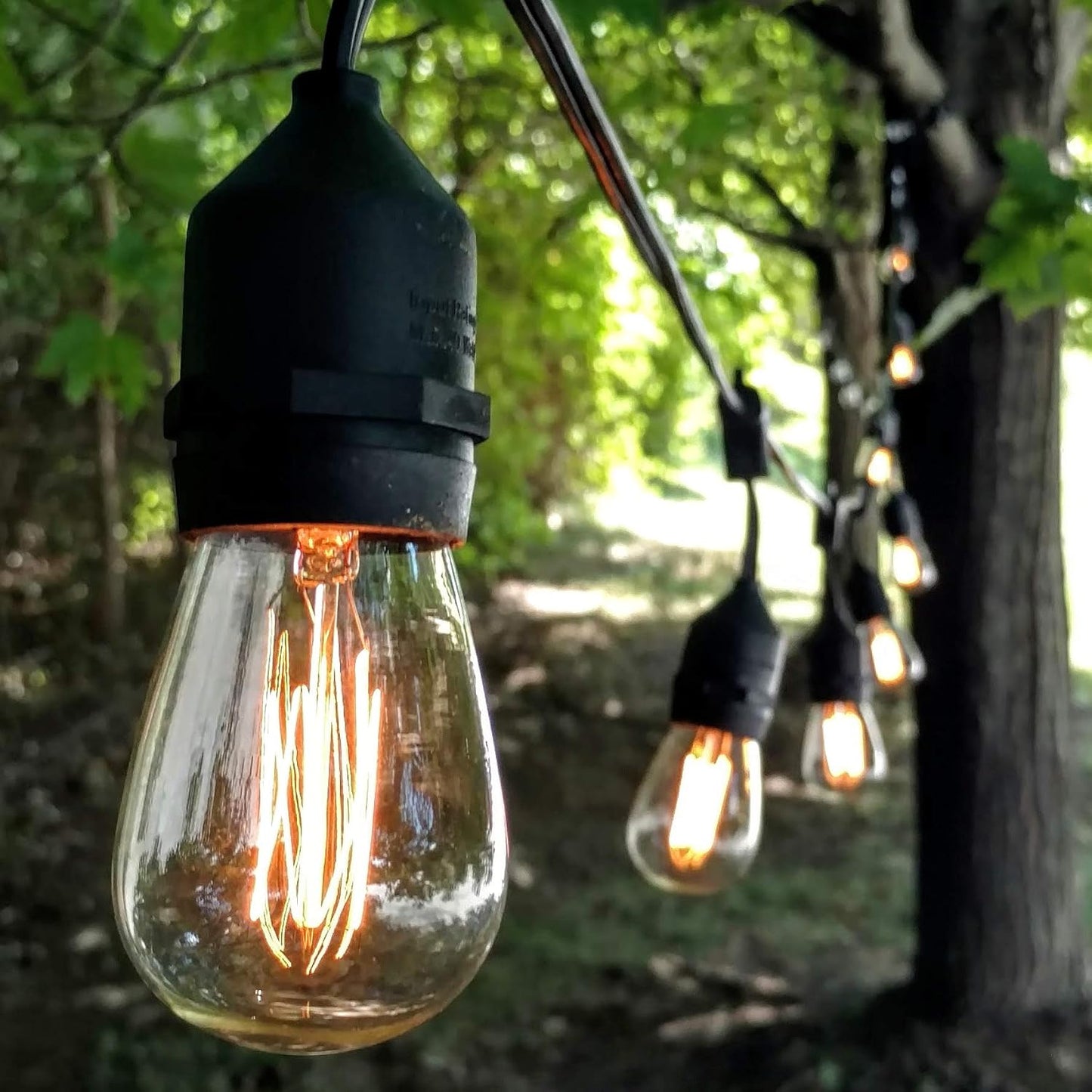 Hometown Evolution, Inc. 100 Foot E26 Commercial Outdoor Edison Bulb String Lights with Suspended Sockets (100 Foot 50 Socket, S14 Lantern Edison 11 Watt Bulbs)