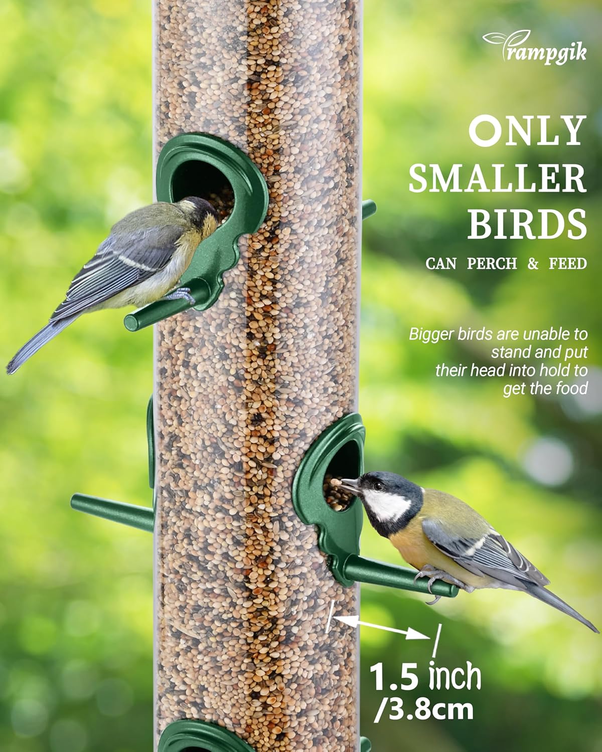 Metal Tube Bird Feeders for Outdoors Hanging,Finch Feeders for Outside,Chew-Proof Hanging Birdfeeder,Squirrel-Proof 6 Ports Bird Feeder 13 Inch,Anti-Rust,Green,1 Pack(Seed is not Included)